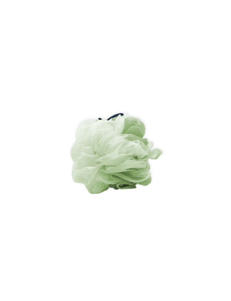 Fleurs de douche coloris Vert Fleurs de douche coloris Vert
