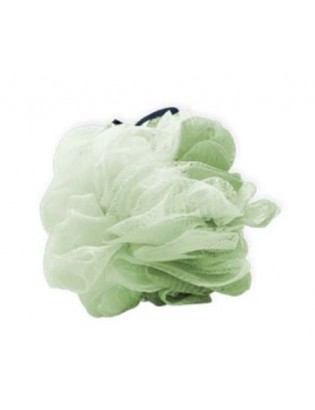 Fleurs de douche coloris Vert